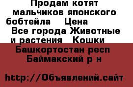 Продам котят мальчиков японского бобтейла. › Цена ­ 30 000 - Все города Животные и растения » Кошки   . Башкортостан респ.,Баймакский р-н